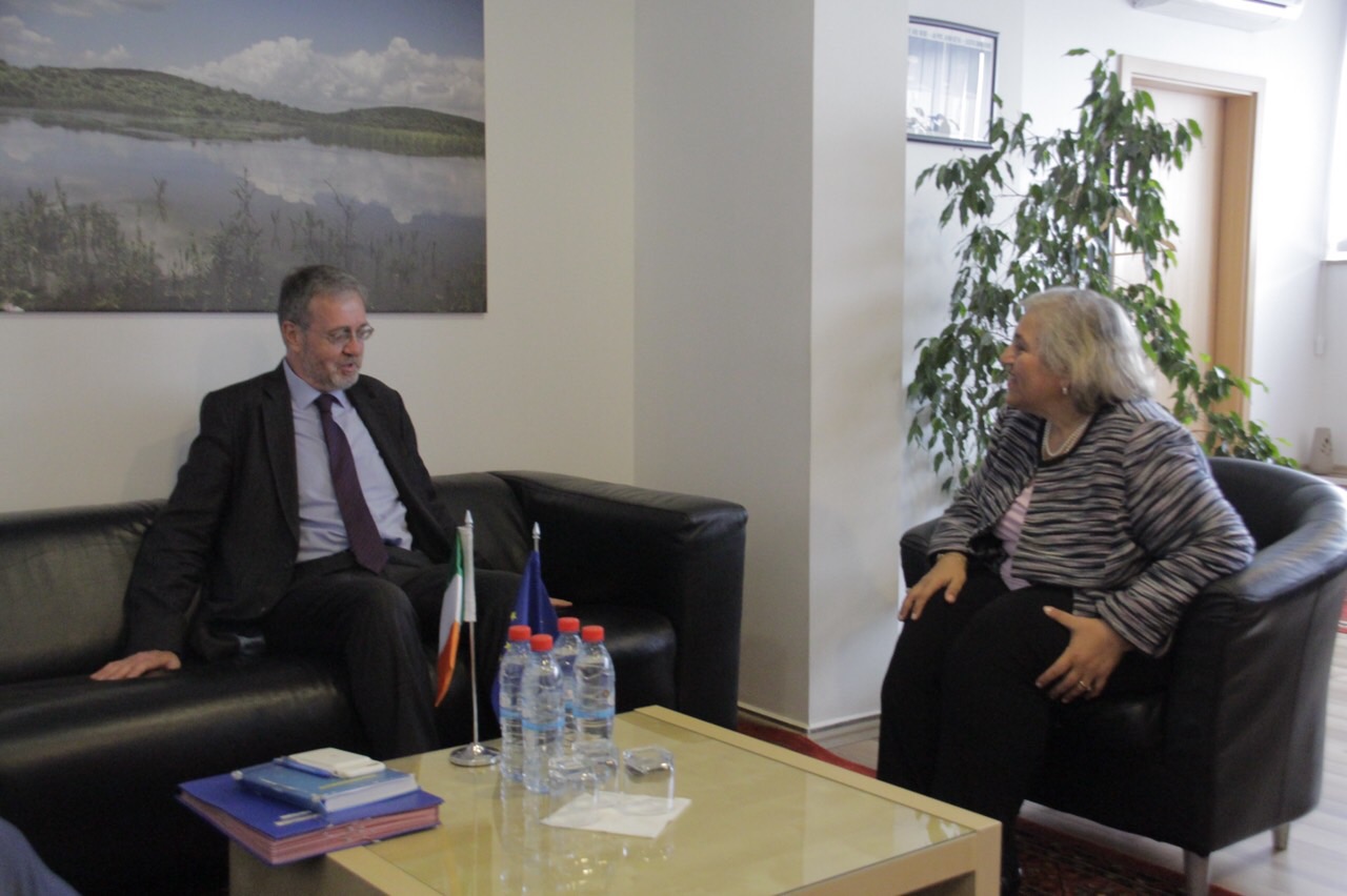 Šefica Misije, gđa Papadopoulou na sastanku sa ambasadorom Irske  