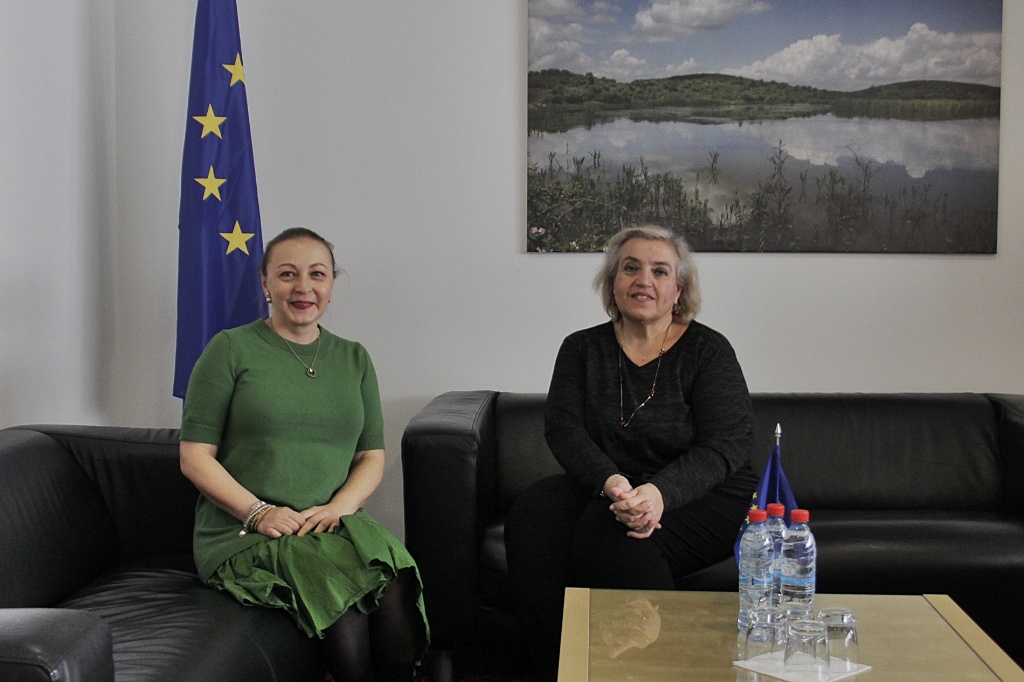EULEX Head met with the UNDP Resident Representative in Kosovo