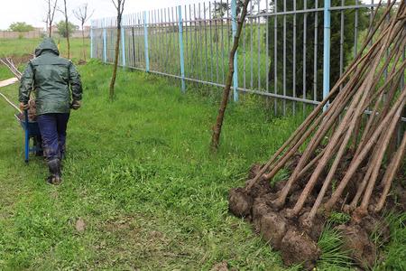 02. EULEX contributes to making greener schoolyards in Obiliq/Obilić