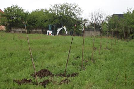 04. EULEX contributes to making greener schoolyards in Obiliq/Obilić