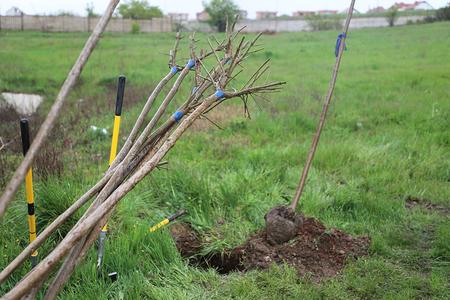 03. EULEX contributes to making greener schoolyards in Obiliq/Obilić