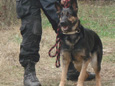 EULEX Canine Unit intercepts drugs shipment at border