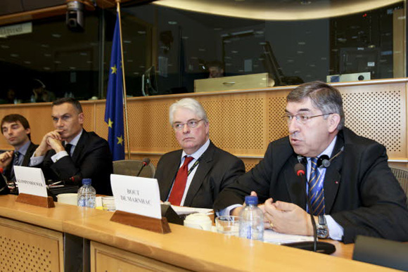 Head of Mission briefs European Parliament
