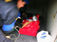 EULEX Canine Unit intercepts drugs shipment at border